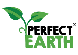 PERFECT EARTH